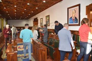 Pleno ordinario de enero de 2020 (Foto TA)